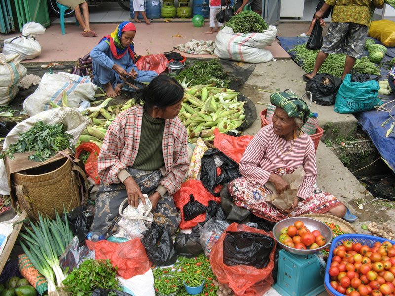 sulawesi-web2